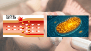 未来の美容鍼灸_光バイオ美鍼_4_近赤外線