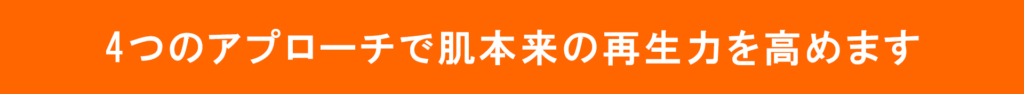 光バイオ美鍼_3-2_4つのアプローチ